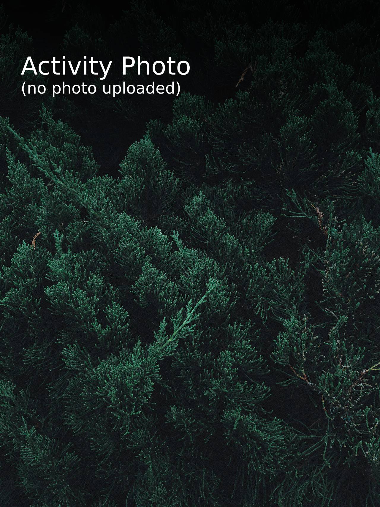 no activity photo